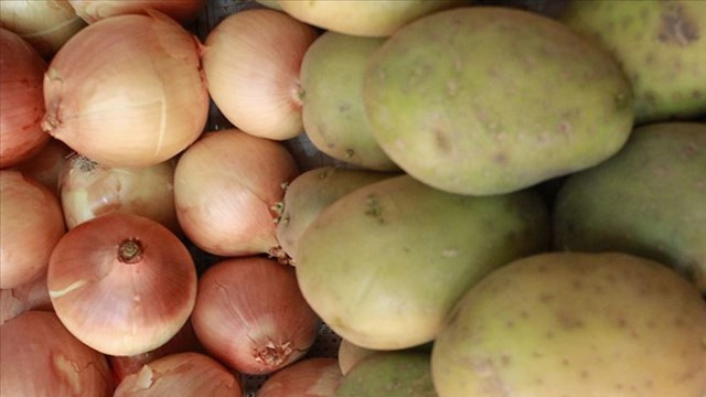 Kuru soğan ve patates ihracatında ön izin şartı kaldırıldı