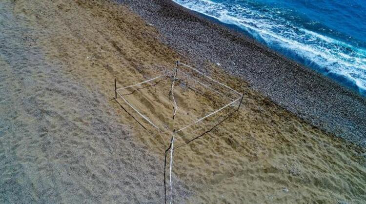 Carretta caretta yuvaları için hendekli önlem