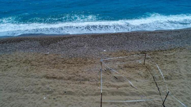 Carretta caretta yuvaları için hendekli önlem