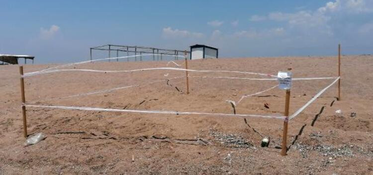 Carretta caretta yuvaları için hendekli önlem