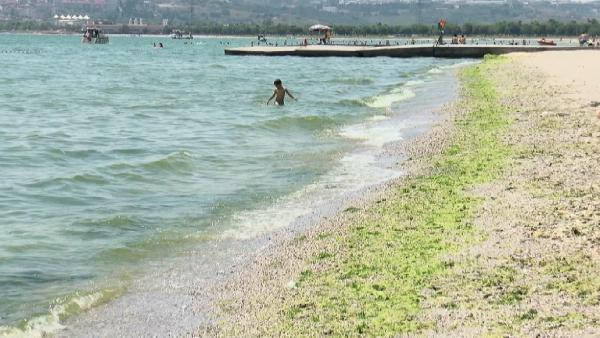 İstanbul'da denize girenler dikkat!
