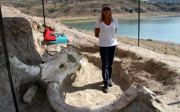 7,5 milyon yıllık fosiller bulunmuştu! O alanda yeni kazı çalışmaları