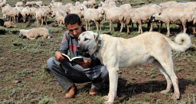 17 yaşındaki çoban Umut, ''alzheimer''a umut oldu