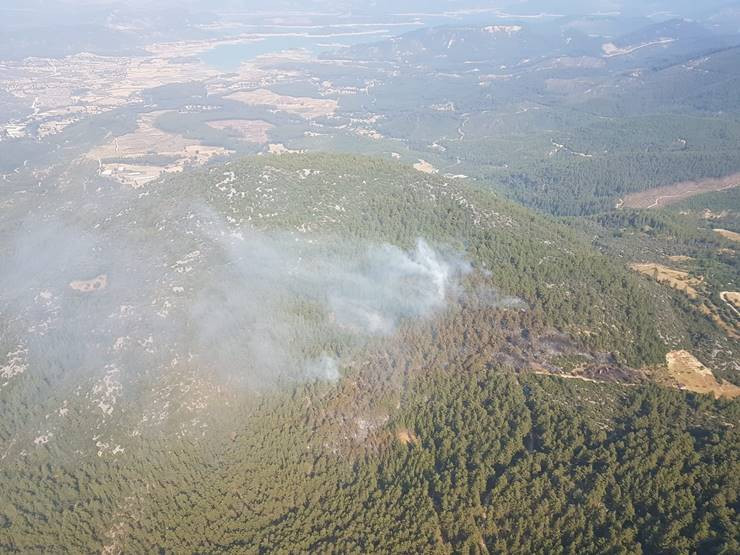 Burdur’da 3 hektarlık ormanlık alan kül oldu!