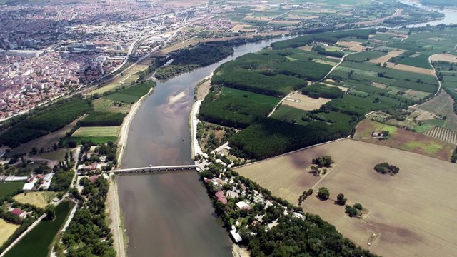Bulgaristan'da Meriç Nehri'nden su içen hayvanlar ölünce Türkiye önlem aldı