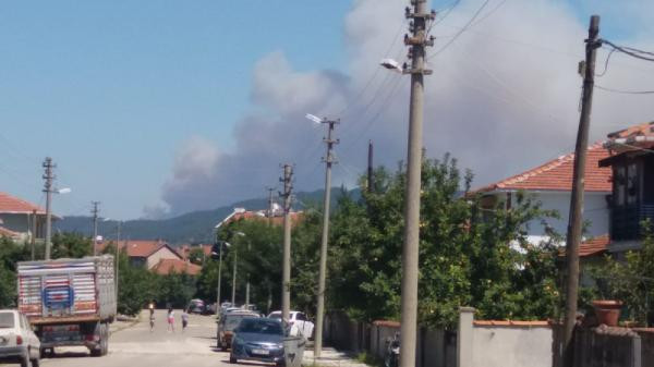 İzmir ve Çanakkale'de orman yangını