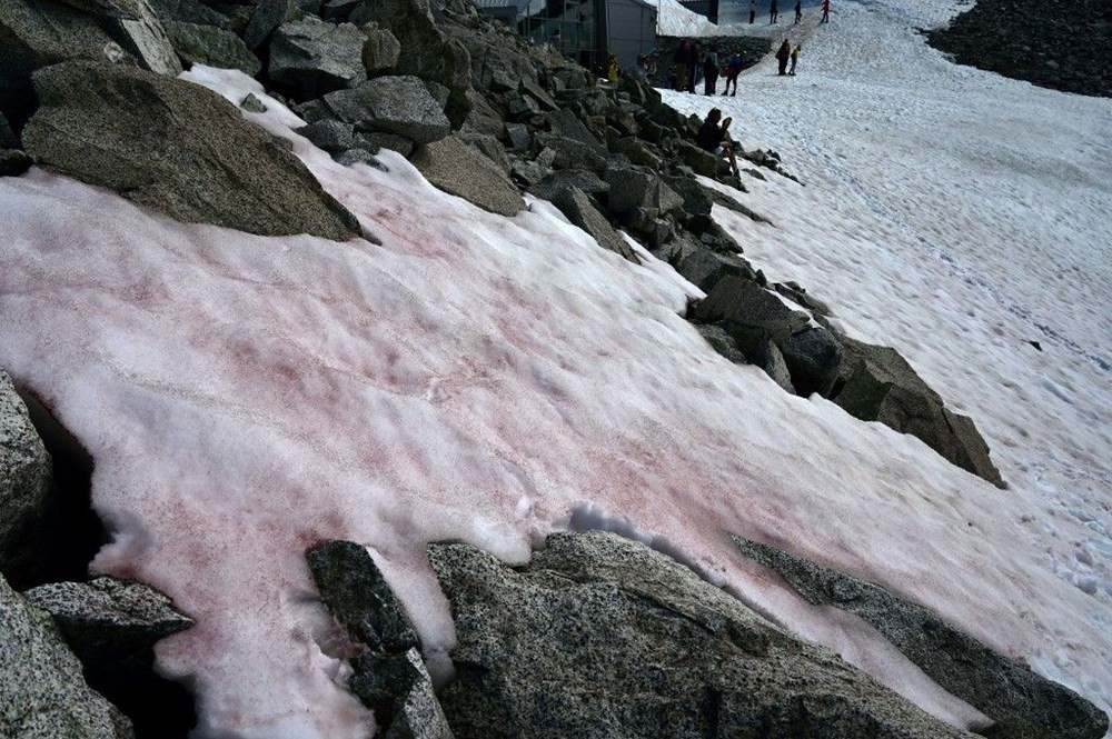 Alpler'de pembe kar alarmı!