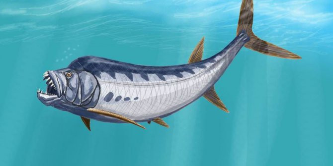 6 metrelik balık fosili şaşkına çevirdi  Kaynak Yeniçağ: 6 metrelik balık f
