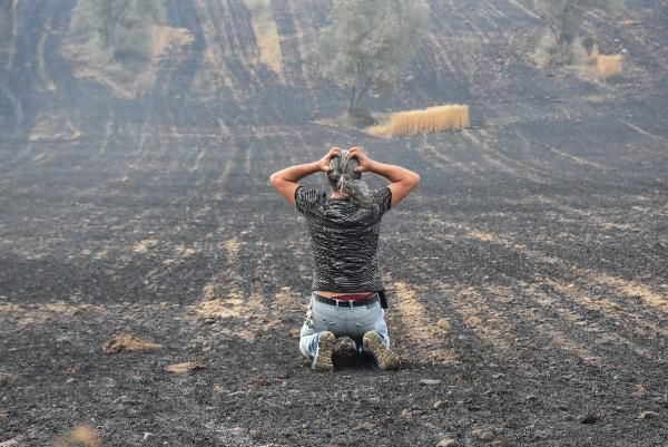 Günün en acı fotoğrafı Gelibolu'dan!