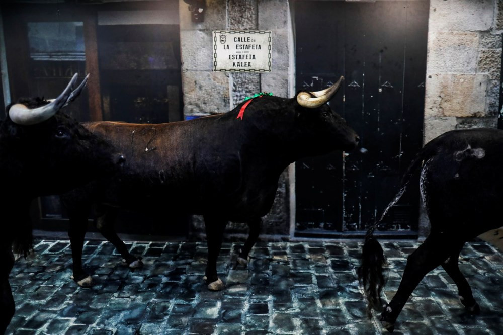 Boğa güreşleri ile ünlü San Fermin Festivali, korona nedeniyle iptal edildi