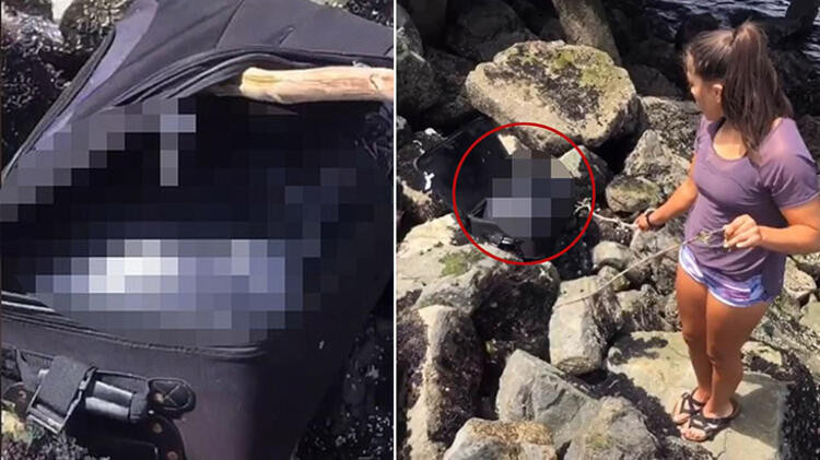 Sahildeki sahipsiz bavuldan çıkanlar şoke etti!