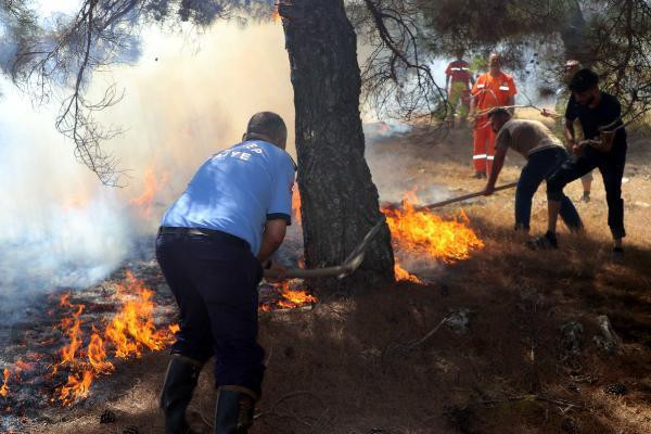 Gaziantep'te orman yangını! Kaymakam ve vatandaşlar da müdahale etti - Resim: 1