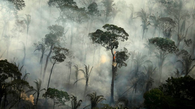 Amazon'da 10 günde 10 bin orman yangını!