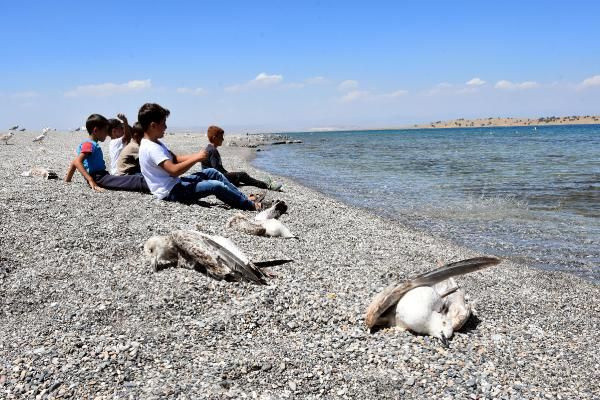 Van Gölü'nde korkutan görüntü