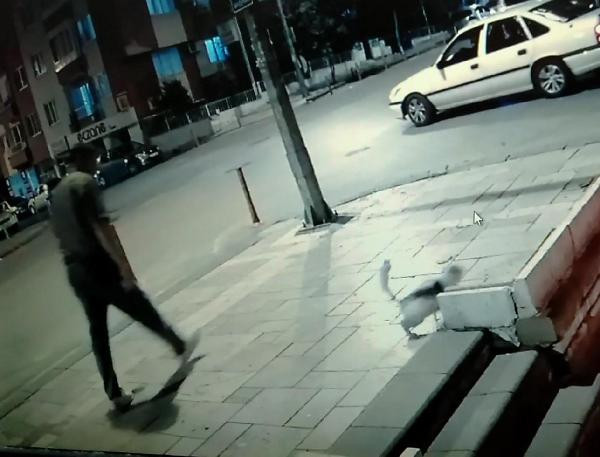 Sucuğunu yiyen sokak kedisine tekme attı! - Resim : 1