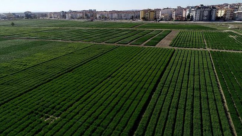 Trakya’daki tarımı alanları yapılaşmaya açılıyor