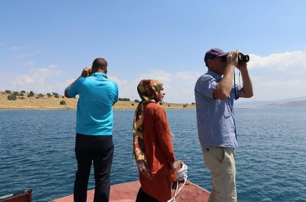 Van Gölü'nde canavar avı başladı
