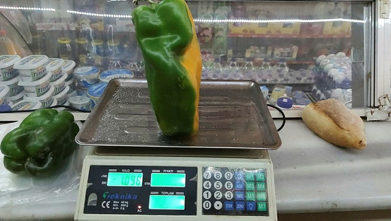 Tanesi 1 kilogram! Görenler hayrete düşüyor