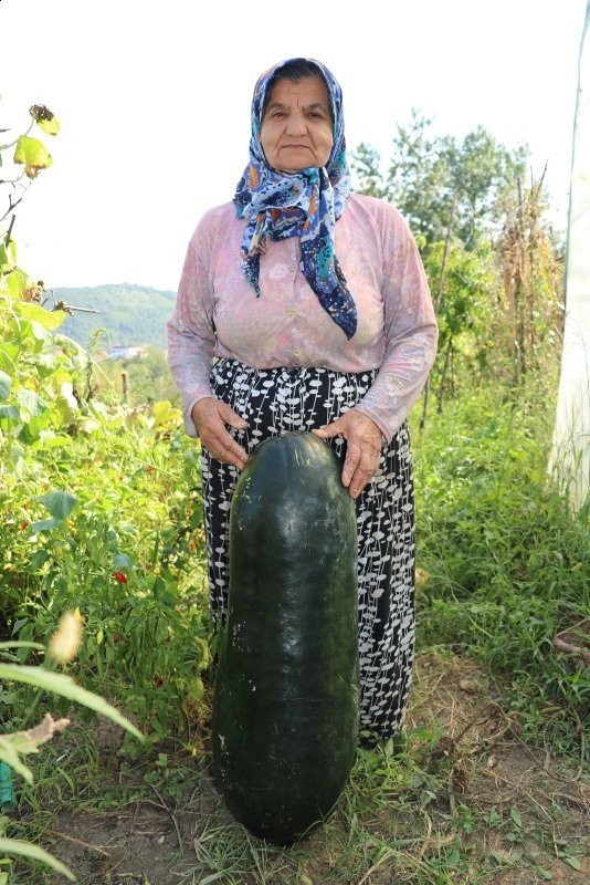Tanesi 1 kilogram! Görenler hayrete düşüyor