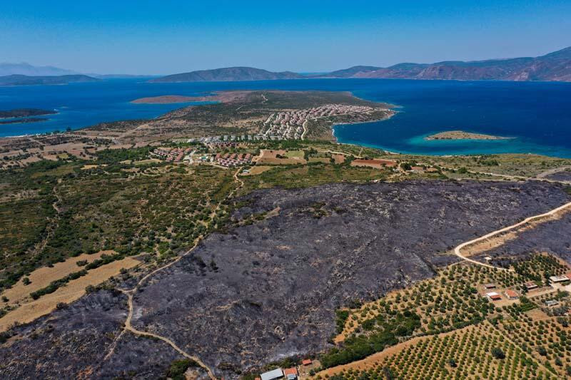 İzmir'deki yangında zarar gören alanlar havadan görüntülendi