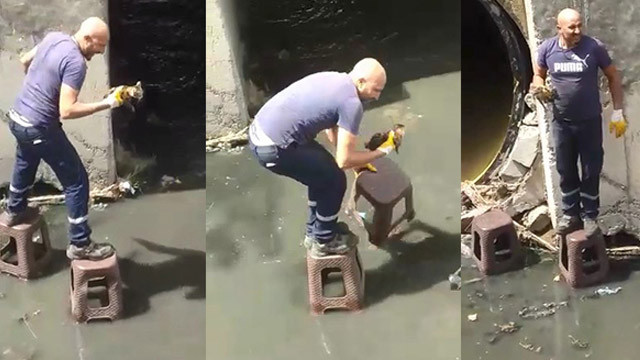 Kanalizasyonda mahsur kalan kediyi böyle kurtardı