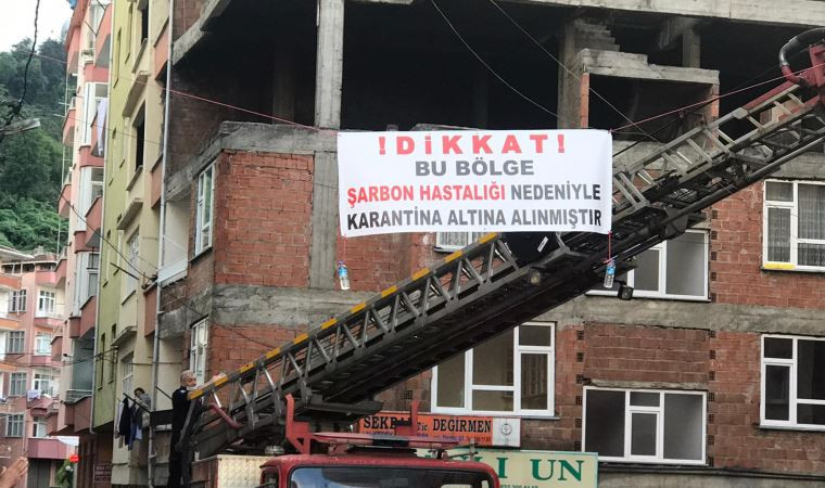 Türkiye'de şimdi de şarbon alarmı! Mahalle karantinaya alındı