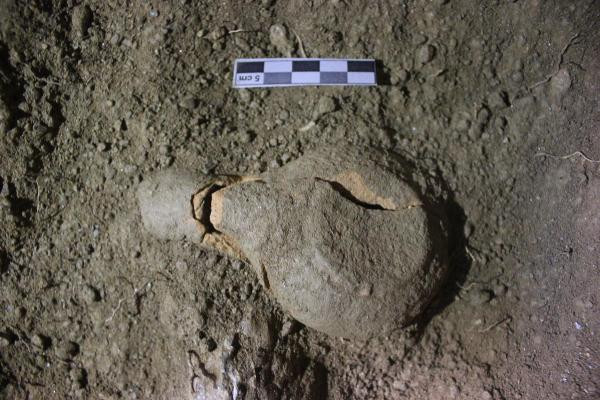 Aydın'da arkeologları şaşırtan keşif: İlk kez böylesine rastlandı