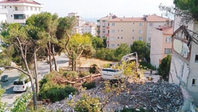 İstanbul'da ağaç katliamı! ''Cezası neyse öderiz'' dediler!