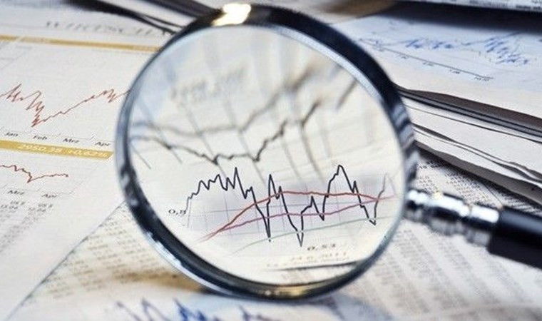 Türkiye ekonomisi için ''esham'' modeli önerisi