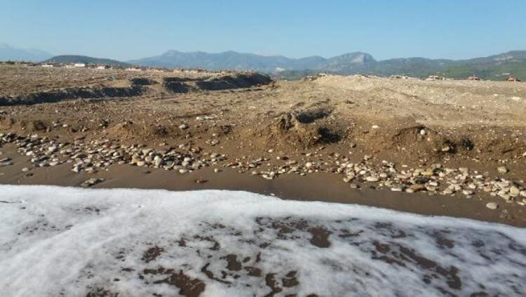 Antalya'da pes dedirten olay! İş makinesi, kaplumbağa yuvalarını ezdi! - Resim: 4