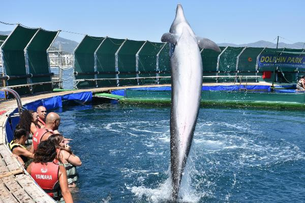 Marmaris'teki ünlü yunus parkı mühürlendi