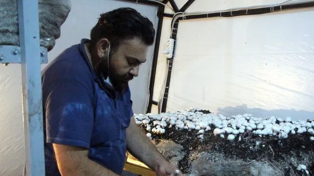 Ürettiği mantarlardan 45 günde bir, 20 bin TL kazanıyor