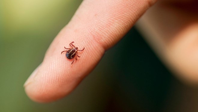 Çin'de yeni virüs paniği! İnsandan insana bulaşabiliyor