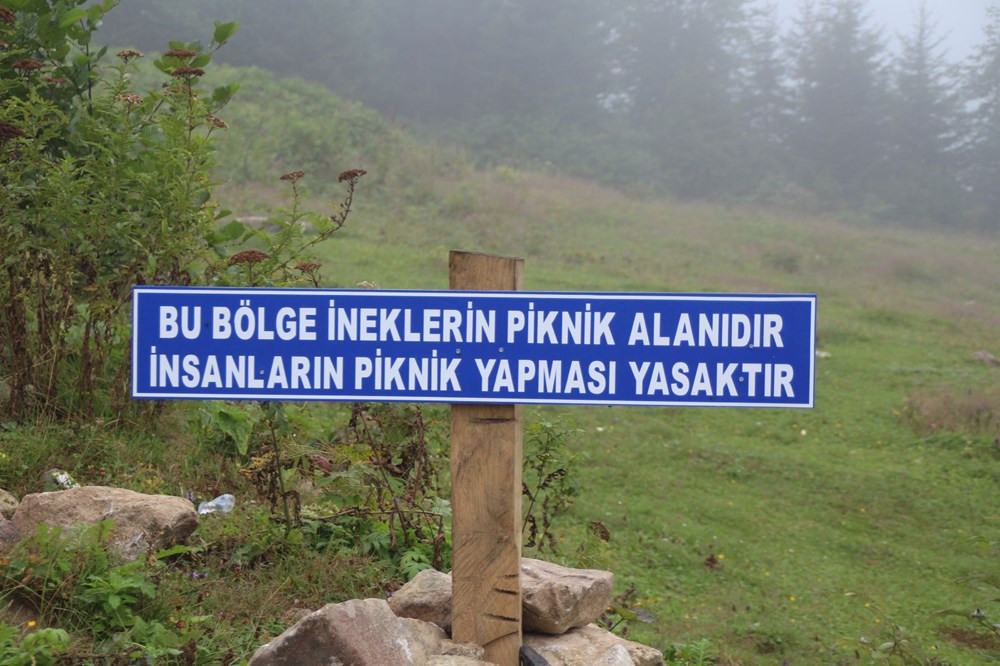 ''Bu bölge ineklerin piknik alanıdır'' tabelası hem güldürdü hem üzdü