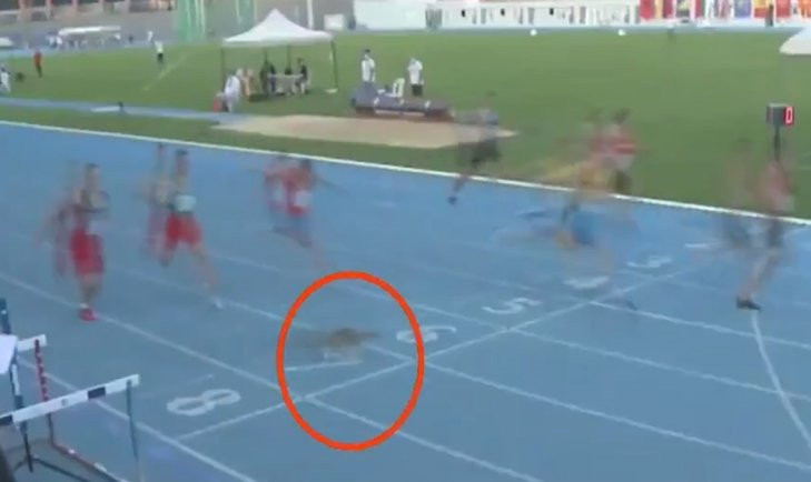 İstanbul'daki atletizm yarışında sürpriz ''koşucu''