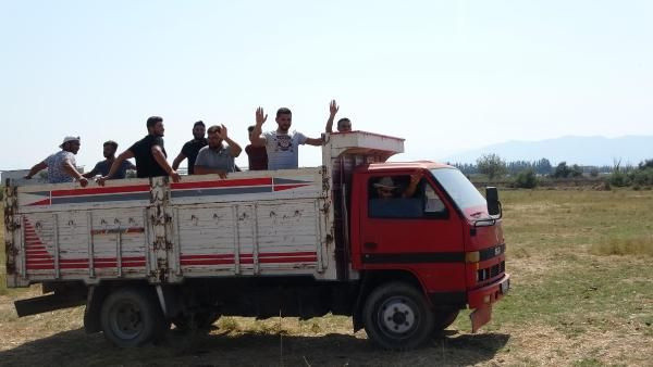 Tarlada 'Survivor' yarışması