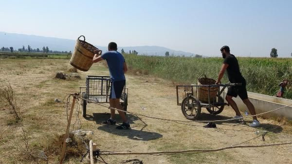 Tarlada 'Survivor' yarışması