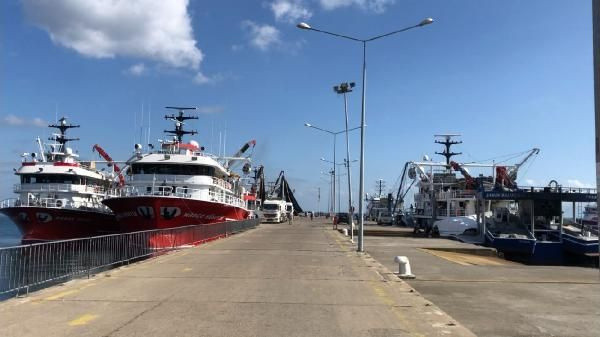 Denizlerde yüzler gülüyor ! Palamut bolluğu yaşanıyor