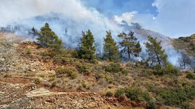 Dalaman'da ormanlık alanda yangın