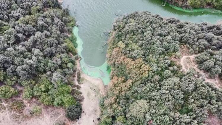 İstanbul'da tepki çeken olay! Şahintepe Gölü bu hale geldi - Resim: 3
