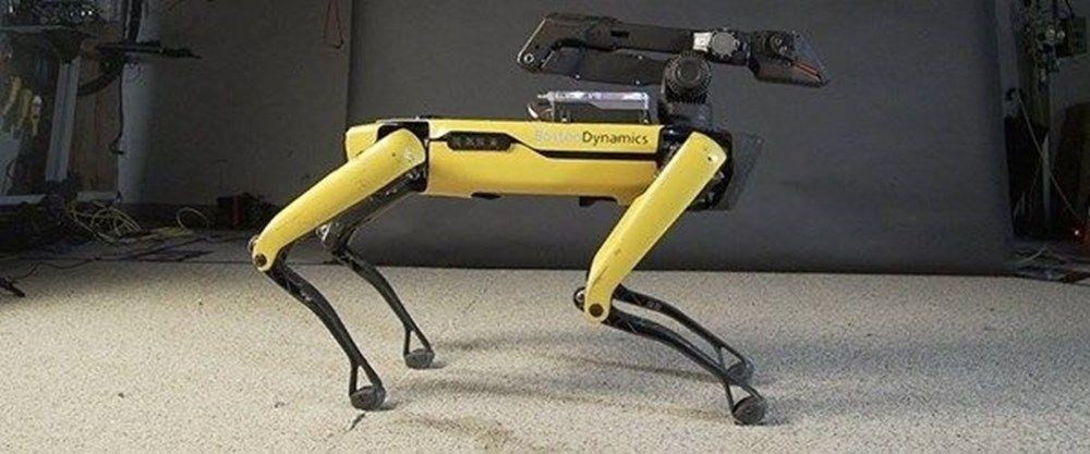 Robot köpek üreten şirketin yeni projesi belli oldu