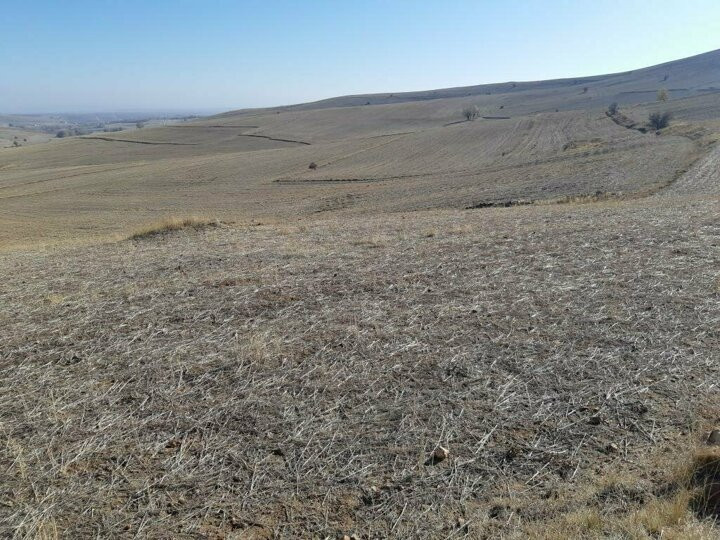 Koronavirüs sürecinde arsa ve tarlayı tercih edenler 30 kat arttı