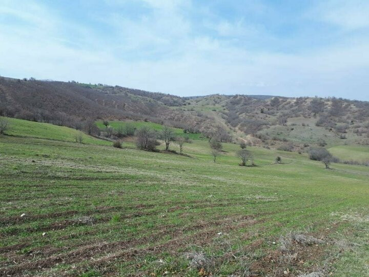 Koronavirüs sürecinde arsa ve tarlayı tercih edenler 30 kat arttı