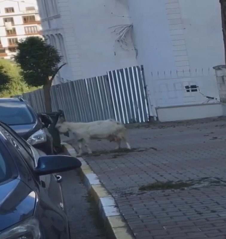 Araç sahibi gördüğü manzara karşısında şok oldu