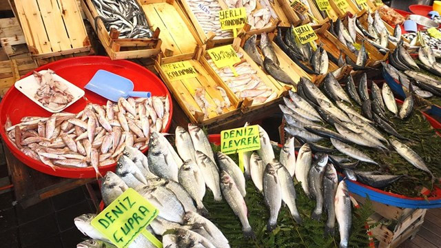 İstanbul Balık Hali'nde fiyatlar cep yakıyor