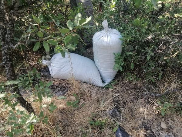 Diyarbakır'da 1.2 ton esrar ele geçirildi