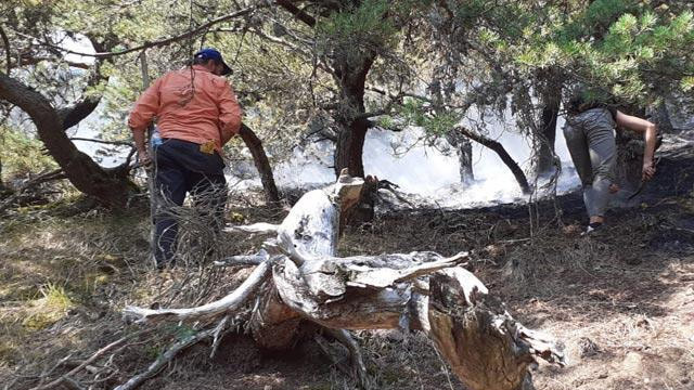Amasya'daki orman yangınıyla ilgili 2 kişi gözaltına alındı