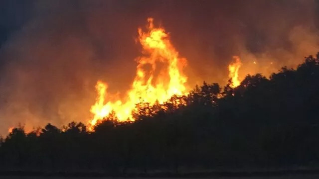 Uşak'ta orman yangını! İki mahalle tahliye edilecek