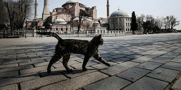 Koronavirüs yasakları geri döndü! İşte il il koronavirüs yasakları listesi