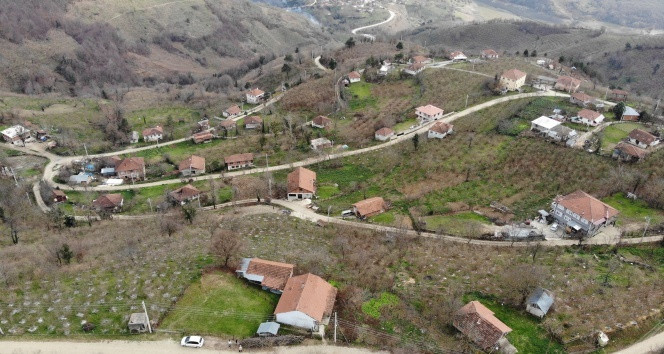 Türkiye'deki bu köy koronavirüsle hiç tanışmadı